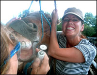 Monika Hger Tierheilpraktikerin