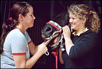 Monika Hger Tierheilpraktikerin